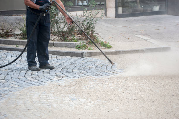 Best Pre-Holiday Cleaning  in Kirtland, OH